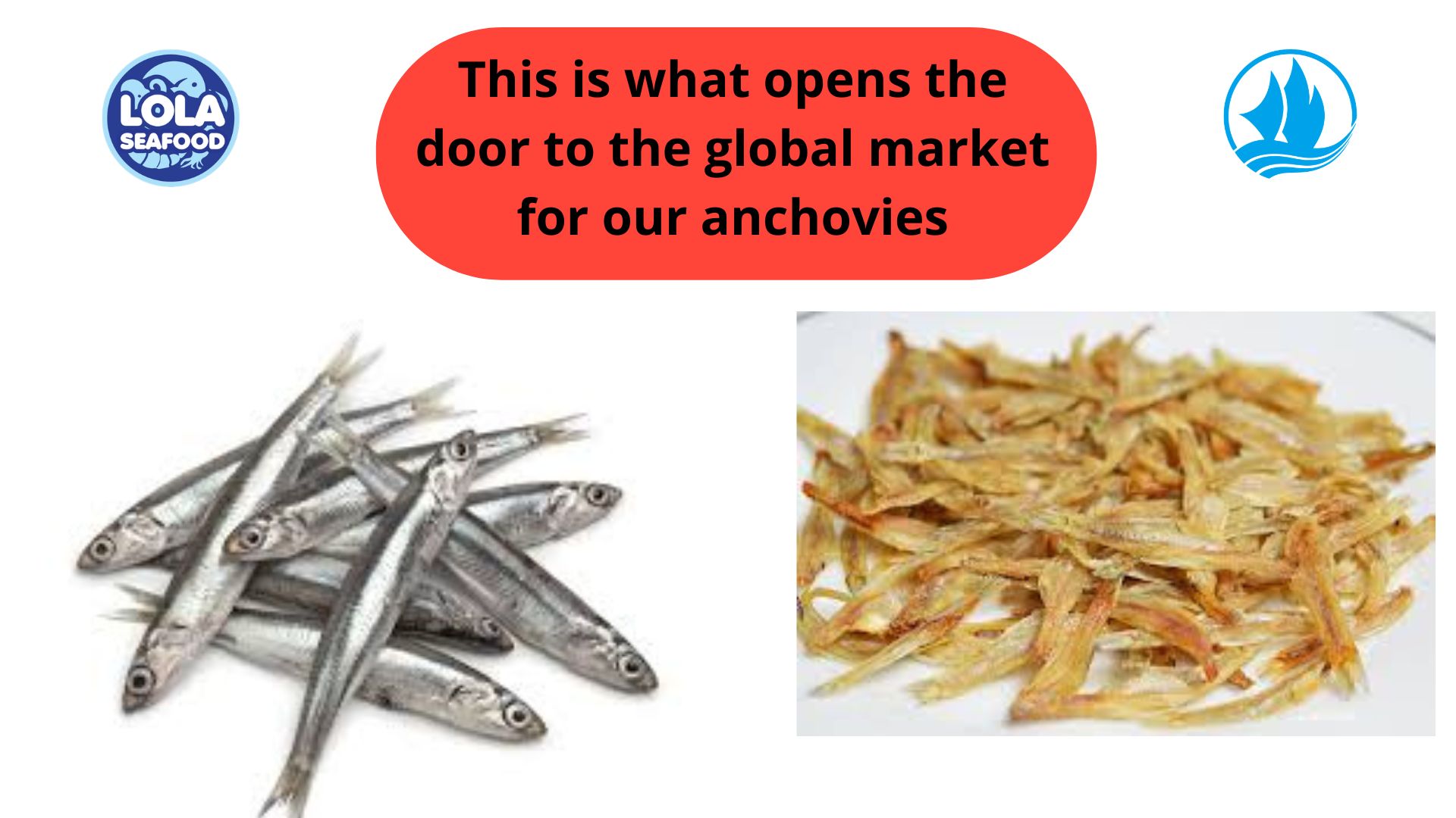 This is what opens the door to the global market for our anchovies